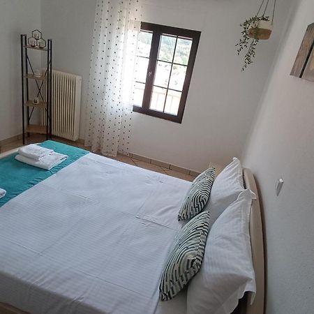 Ioanna'S Apartment Potamia  Bagian luar foto